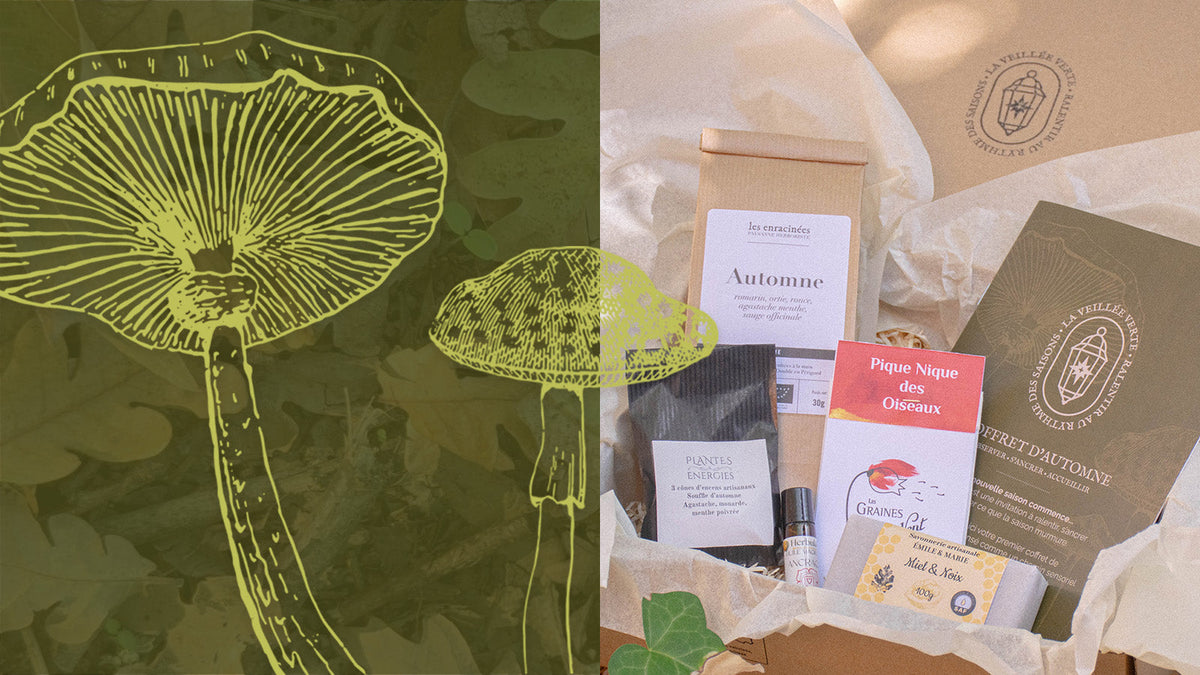 Les artisanes de la Lanterne du Commencement - coffret d'automne 2026