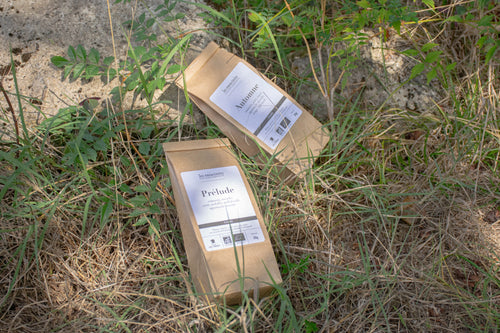 Tisane La Veillée Verte